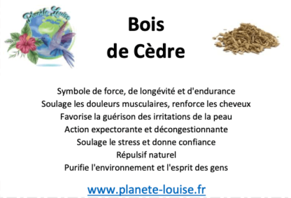 Parure Lodolite et Bois de Cèdre – Image 3