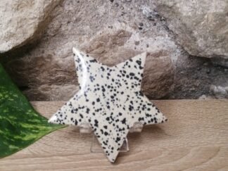 Jaspe Dalmatien Etoile