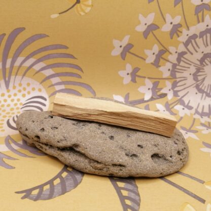 Palo Santo, bâton de purification