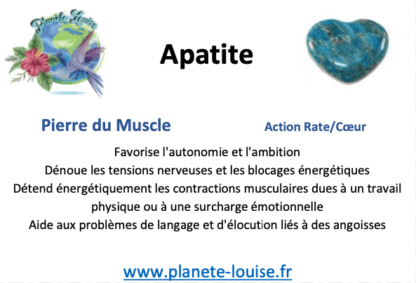 Apatite et Sauge Blanche – Image 2