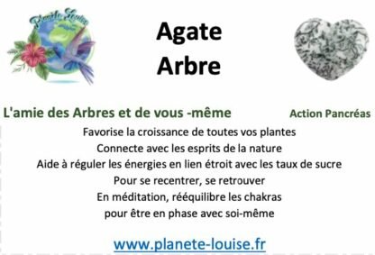 Arbre Agate Arbre moyen modèle – Image 2