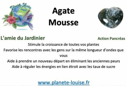 Arbre Agate Mousse moyen modèle – Image 2