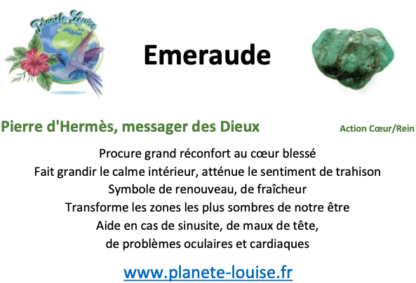 Sérénité et stabilité – Image 4