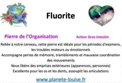 Fluorite d'Auvergne n°1 – Image 2