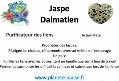 Jaspe Dalmatien – Image 2