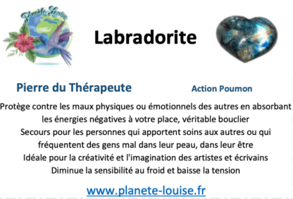 Labradorite Bague – Image 2