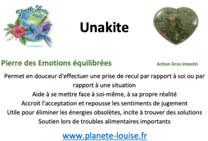 Unakite Bague – Image 2