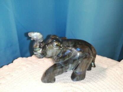 Labradorite Éléphant