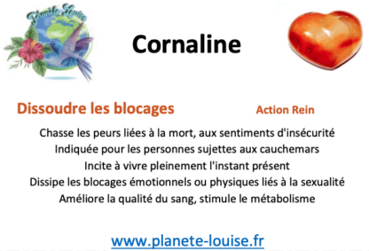 Cadre flottant 3d Cornaline – Image 2