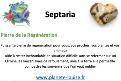 Géode de Septaria sauvage n°3 – Image 3