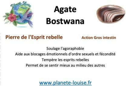 Agate Botswana goutte – Image 2