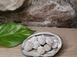 Rose des Sables n°4