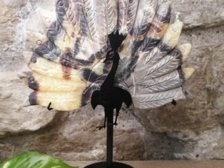 Septaria Paon