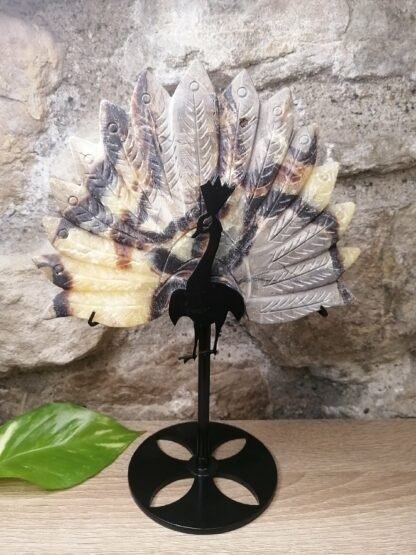 Septaria Paon