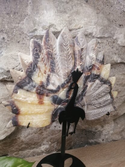 Septaria Paon – Image 2