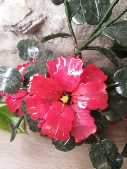 Hibiscus Jade – Image 2