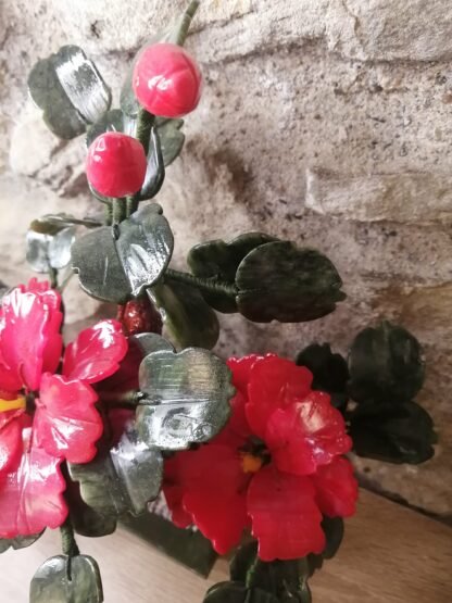 Hibiscus Jade – Image 3
