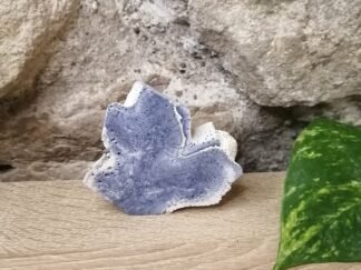 Corail bleu fossilisé Tranche n°2