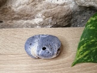 Corail bleu fossilisé Galet n°1
