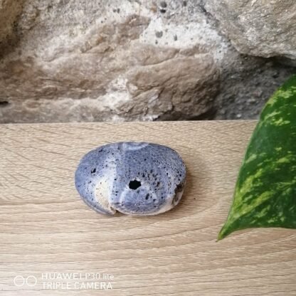 Corail bleu fossilisé Galet n°1