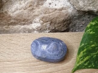 Corail bleu fossilisé Galet n°2