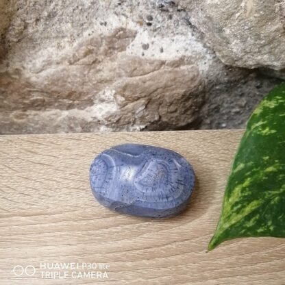 Corail bleu fossilisé Galet n°2