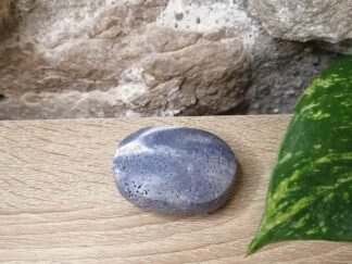 Corail bleu fossilisé Galet n°3