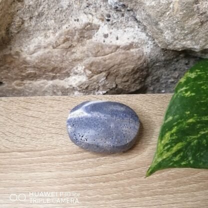 Corail bleu fossilisé Galet n°3
