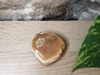 Aragonite Cœur n°3
