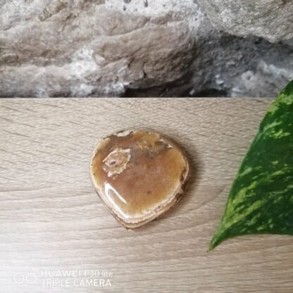 Aragonite Cœur n°3