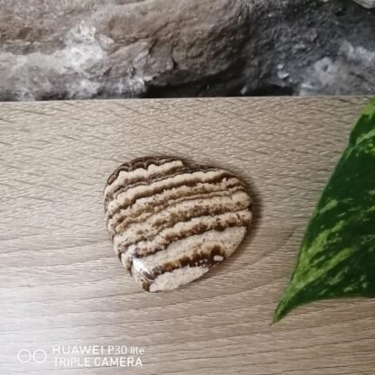 Aragonite Cœur n°4