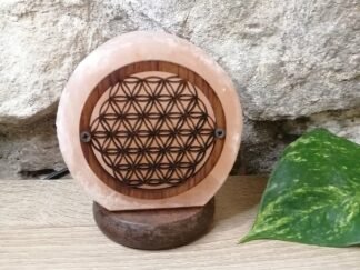 Lampe de Sel Fleur de Vie Usb