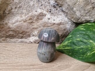 Labradorite Champignon