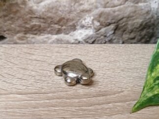Pyrite Tortue