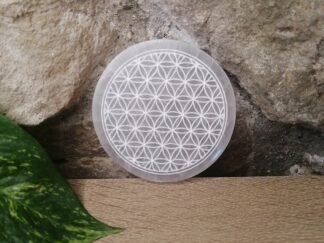 Sélénite Plaque de Rechargement n°1