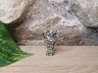 Jaspe Dalmatien Ange