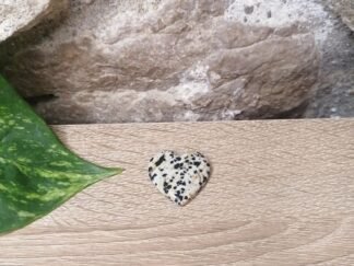 Jaspe Dalmatien Cœur plat