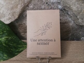 Une attention à semer