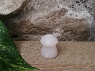 Morganite Champignon