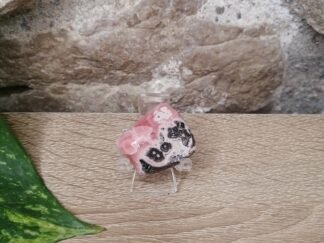 Rhodochrosite Forme libre n°1