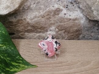 Rhodochrosite Forme libre n°2