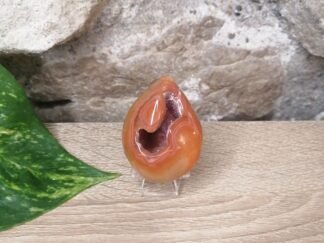 Cornaline Œuf Druse n°1