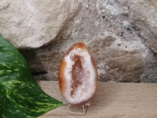 Cornaline Œuf Druse n°4