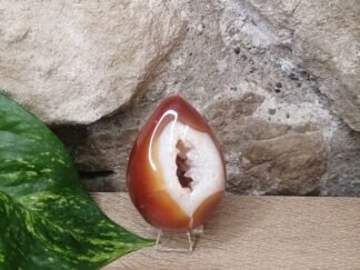 Cornaline Œuf Druse n°5