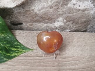 Cornaline Cœur n°1