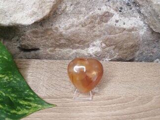 Cornaline Cœur n°2