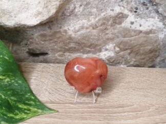 Cornaline Cœur n°4