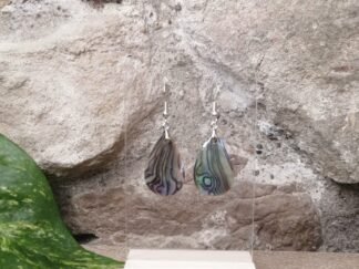 Nacre Abalone Boucles n°1