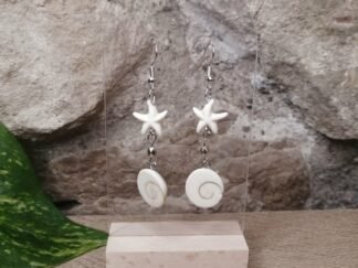 Œil de Sainte Lucie et étoile de mer n°1