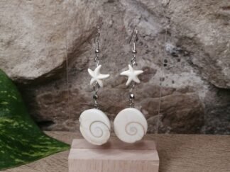 Œil de Sainte Lucie et étoile de mer n°2